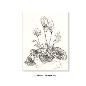 A Year of Waiting by Gill Newberry