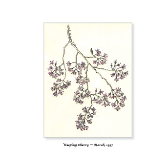 A Year of Waiting by Gill Newberry