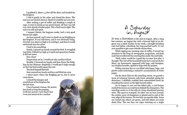 Tales from a Wandering Mind by Gill Newberry