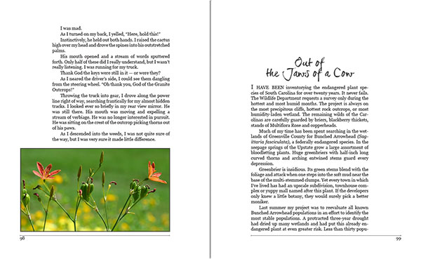 Tales from a Wandering Mind by Gill Newberry