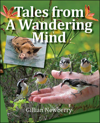 Tales from a Wandering Mind by Gill Newberry