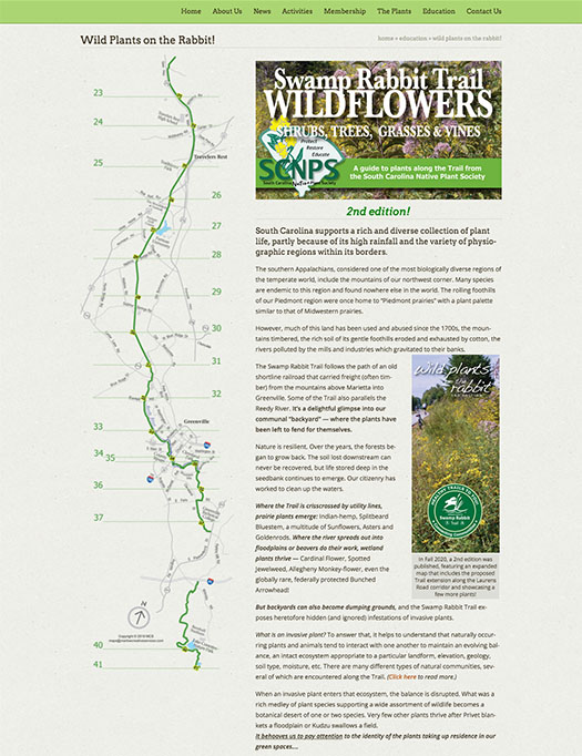 Wild Plants on the Rabbit (the Swamp Rabbit Trail)