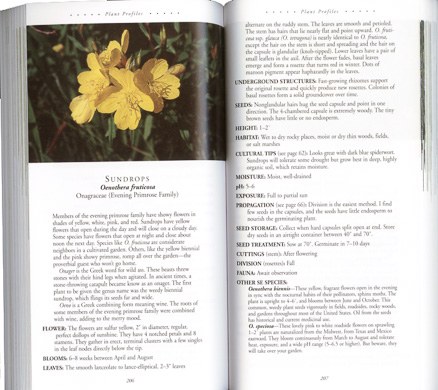 page from All About South Carolina Wildflowers by Jan Midgley