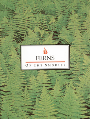 bookcover Ferns of the Smokies by Murray Evans
