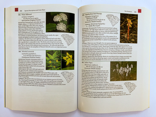 page from the revised and expanded Guide to the Wildflowers of South Carolina