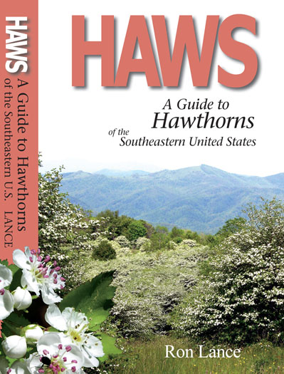 bookcover Haws - A Guide to Hawthorns of the Southeastern United States by Ron Lance