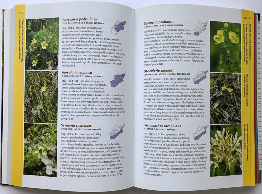 page from Wildflowers of the Atlantic Southeast by Laura Cotterman, Damon Waitt, and Alan Weakley