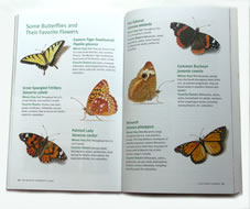 page from The Wildlife Gardener's Guide by Janet Marinelli